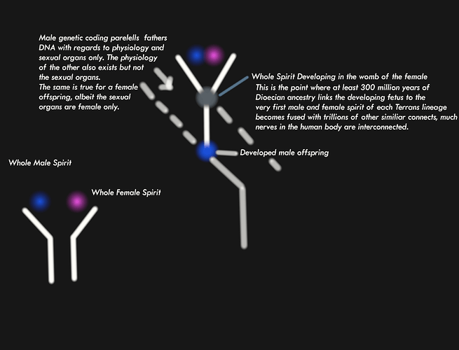 Screenshot 2025-07-06 214805