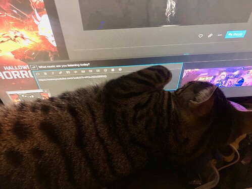 Catnip