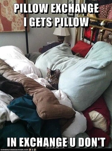 pillow-pillow-exchange-gets-pillow-exchange-u-dont-icanhascheezeurgercom