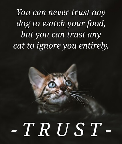 who did you trust