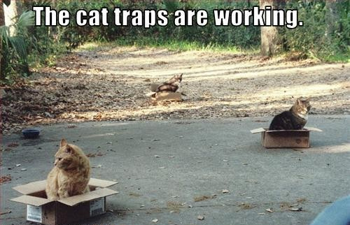 traps