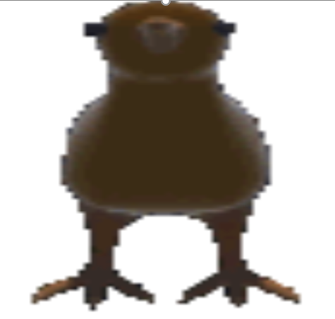 kiwimanbird