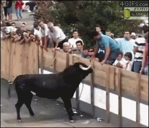 4leggedadvantage