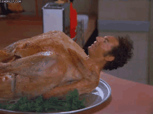 turkey-roast
