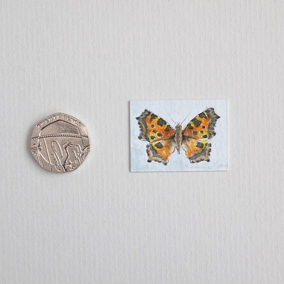 miniature%20small%20tortoiseshell%20butterfly%20painting