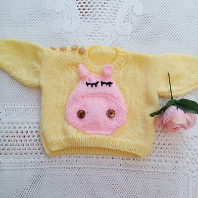 Round Neck Hippo Jumper 5