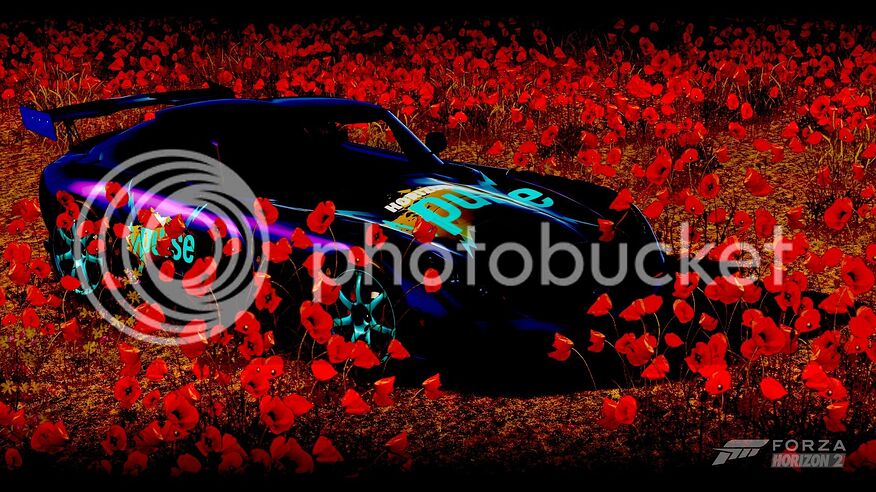 Stylized Poppies