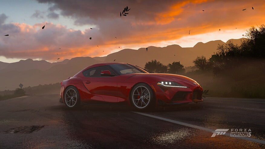 Phorev183 Supra (2)