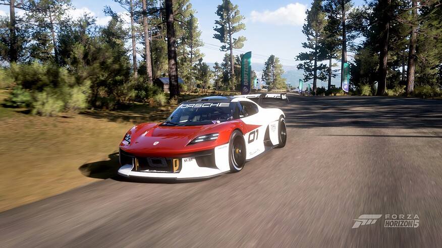 FH5_Porsche_photo_001