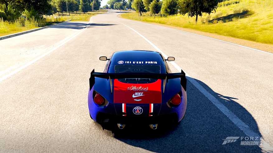 PSG Livery - back