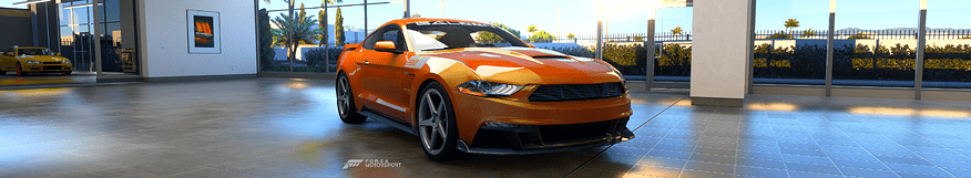 Saleen 302