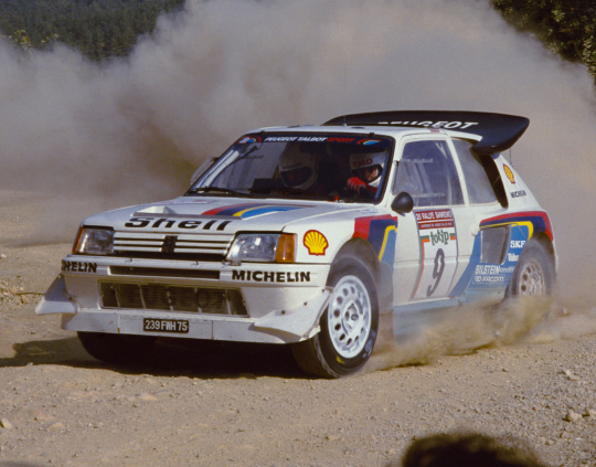 peugeot_205_t16_rally_car_23