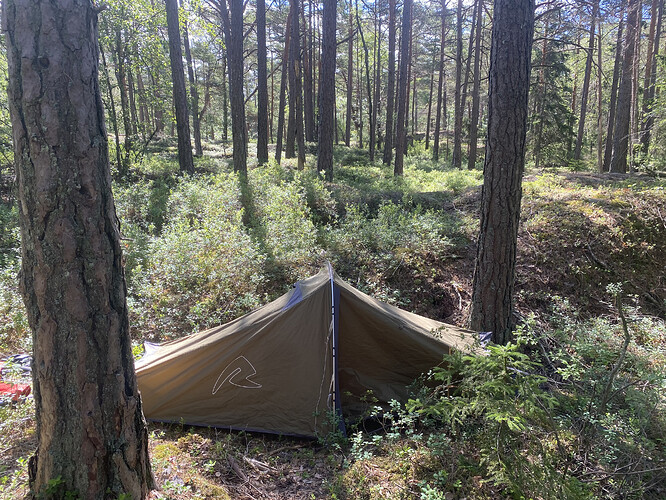 near høyen.HEIC