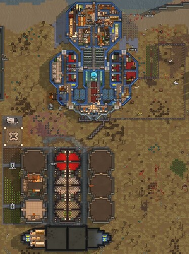 Colony_in_making