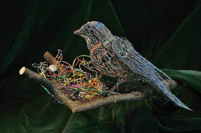 KHeaton_bird_2019_web