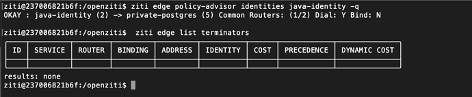 Screen Shot 2022-06-16 at 11.06.22 pm