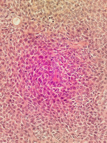 OFM_2025-09-03T15_10_35.703Z