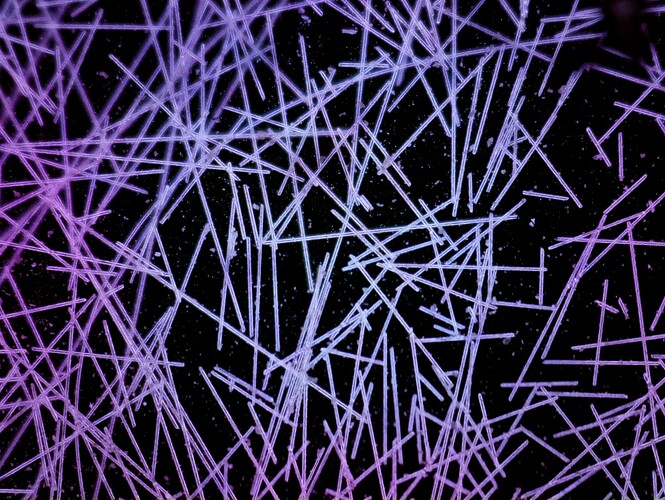 2025-10-21_08-42-31_0_10500_-1459