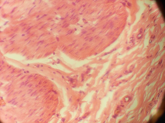 OFM_2025-10-24T14_07_19.410Z