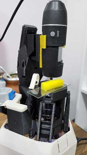 WhatsApp Image 2025-10-01 at 10.41.46 (1)