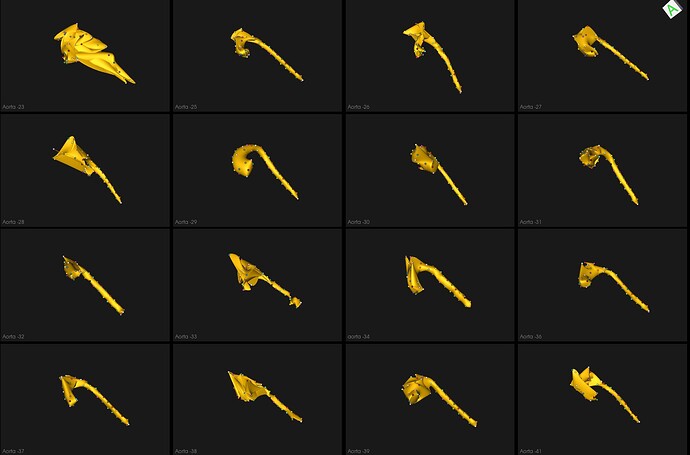 WhatsApp Image 2025-08-13 at 17.30.07_db74c851