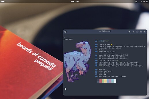 Screenshot From 2025-07-04 21-30-47