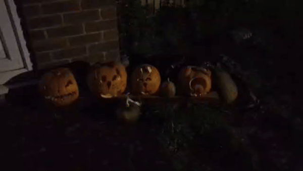 VID-20251103-WA0007-ezgif.com-video-to-gif-converter