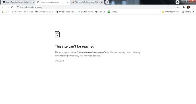 fcc screenshot