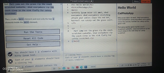 freecode1