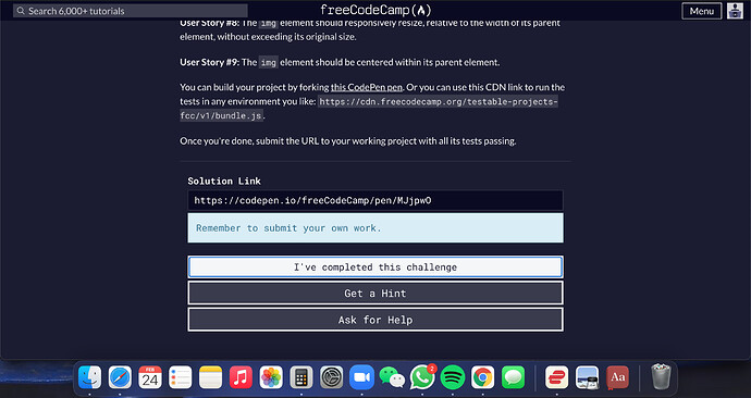 Screen Shot 2021-02-24 at 6.46.05 PM
