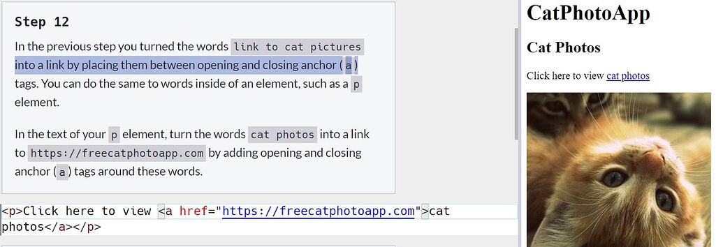 Learn HTML by Building a Cat Photo App - Step 12 - HTML-CSS - The ...