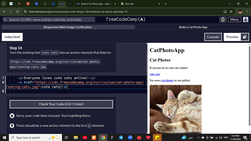 Build a Cat Photo App - Step 14 - HTML-CSS - The freeCodeCamp Forum