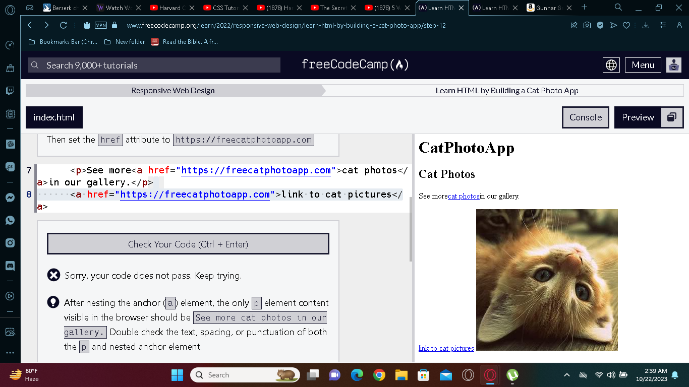 Learn HTML by Building a Cat Photo App - Step 12 - HTML-CSS - The ...