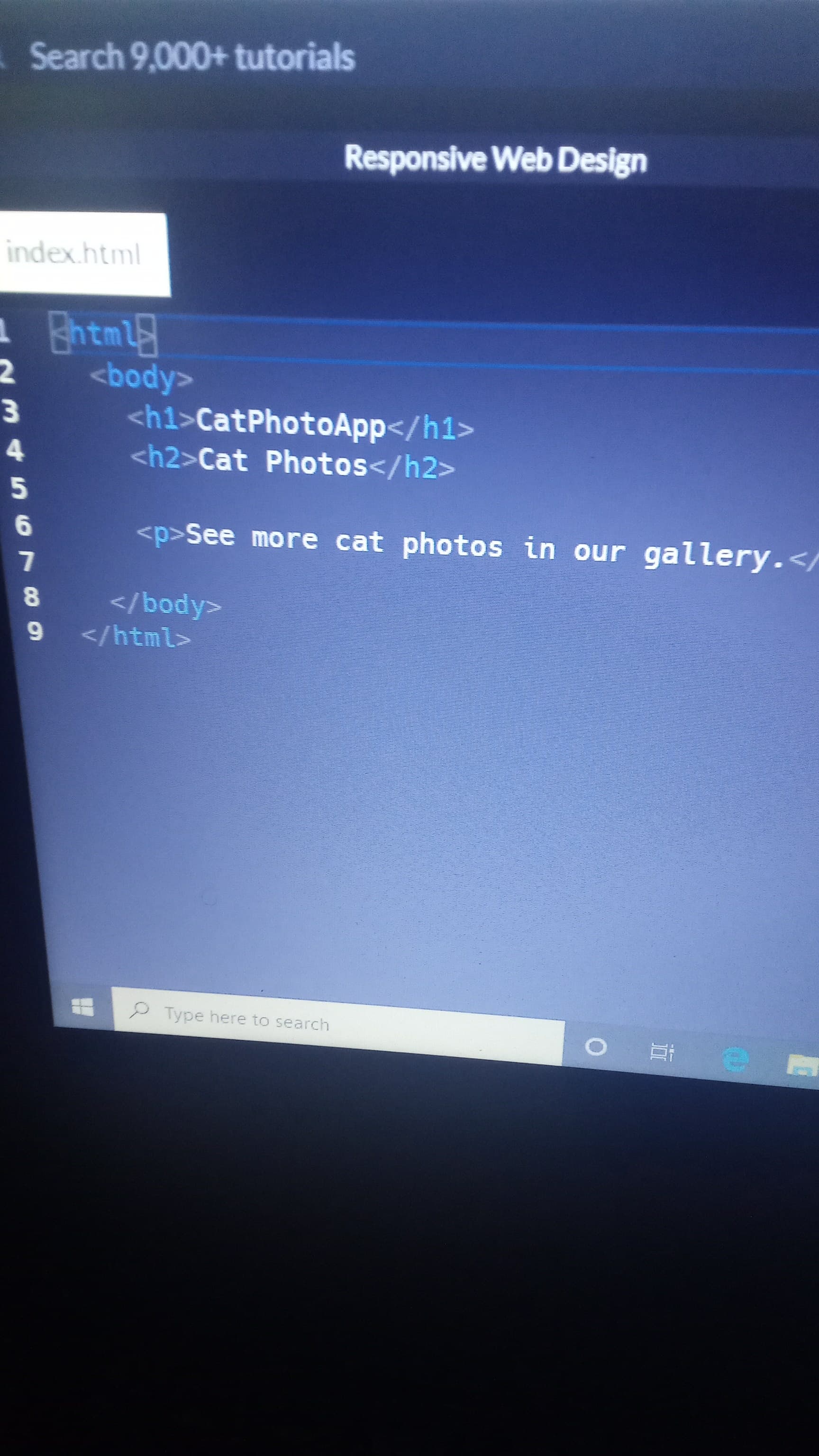 I cant even find the submit feature - freeCodeCamp Support - The ...