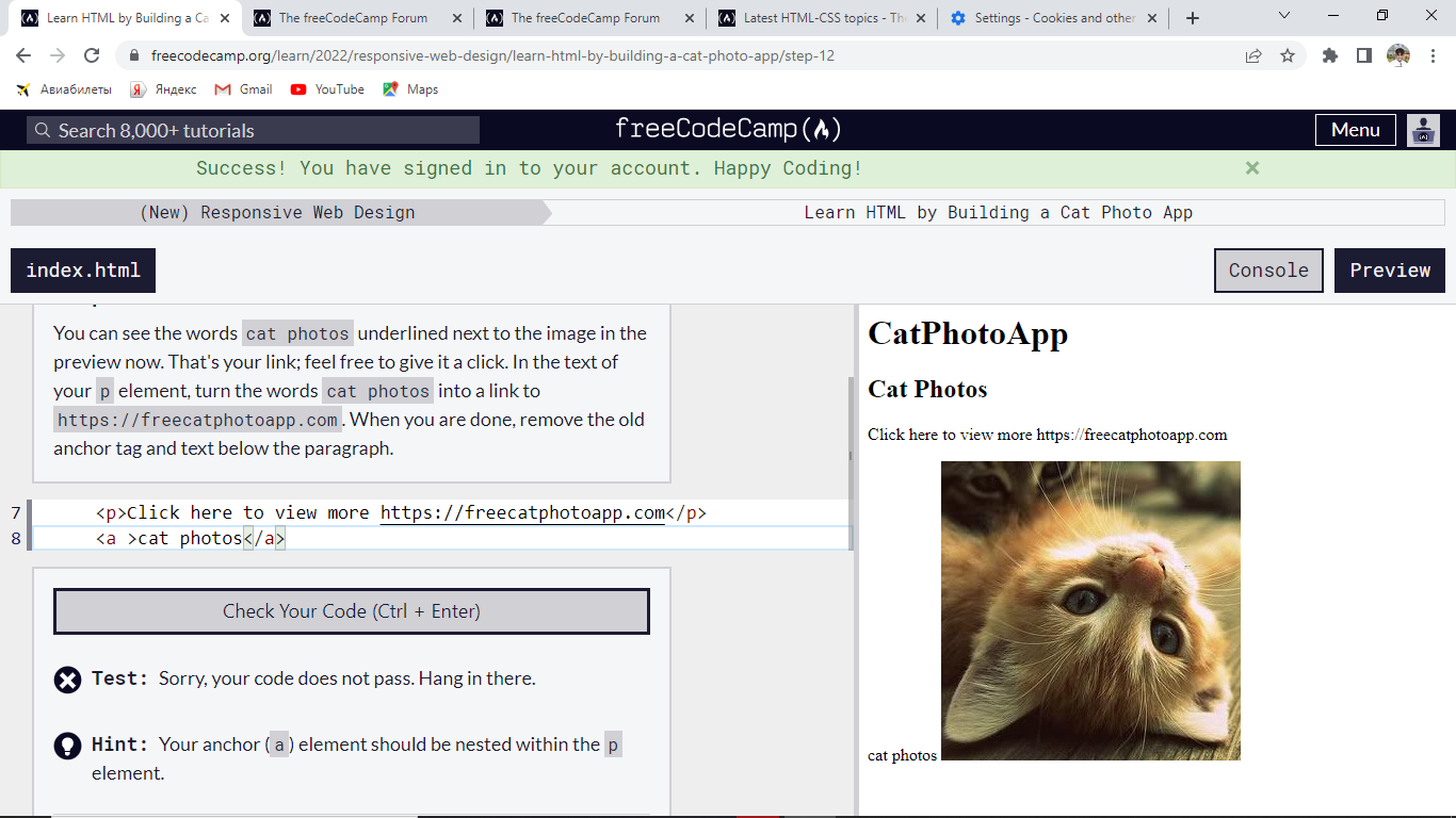 Learn HTML By Building A Cat Photo App Step 12 HTML CSS The 