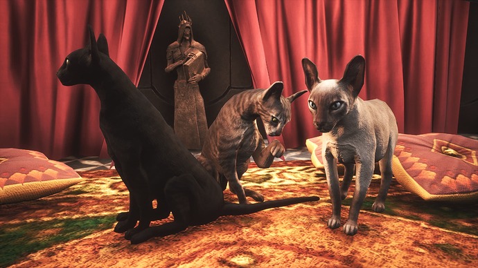 cats