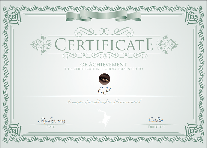 Certificat 1