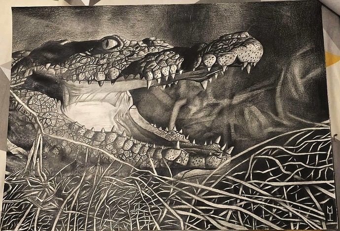 HolloPoint Nile Crocodile