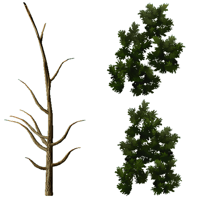 after tree