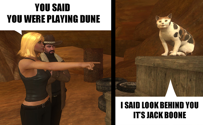 Woman yelling at cat boone3