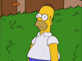 no_words_homer_into_brush