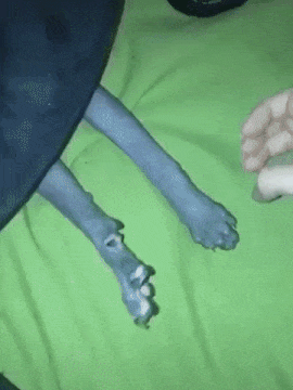 tumblr_36b2bc8836ee4e9c9b8ac22fd6c1a5c3_177da48f_400