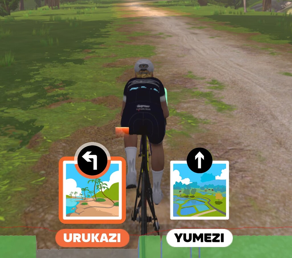 Bug Direction "indicator arrows"/turn signals display as single giant