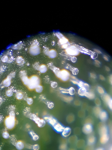 20190428_192134