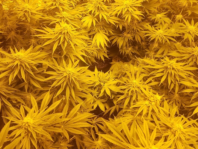 20181108_191049
