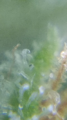 20181029_073308