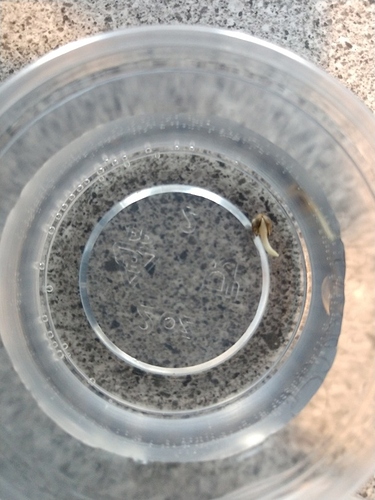 IMG_20180322_104256274