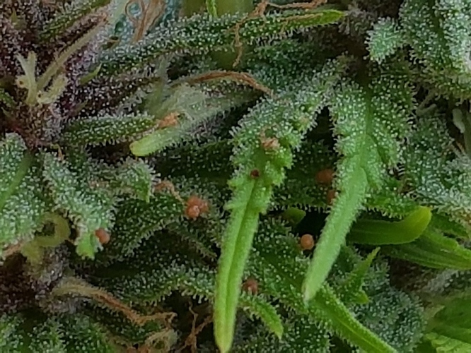 20170913_093443