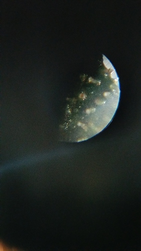 20171002_194000
