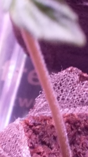 20181005_224428